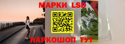 амф Камышлов