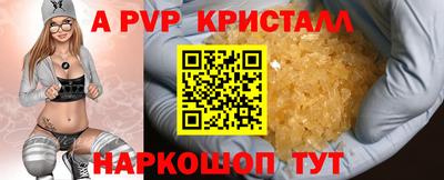 сатива Кандалакша