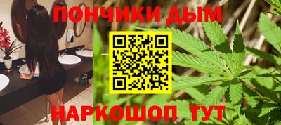 сатива Кандалакша