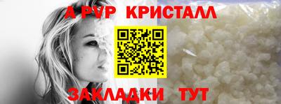 амф Камышлов