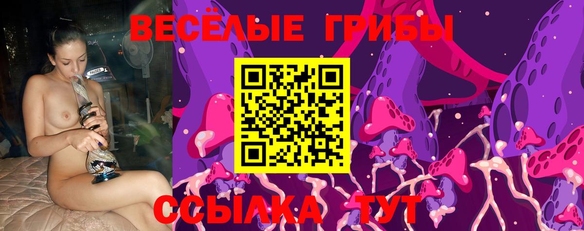 Галлюциногенные грибы Magic Shrooms Лысьва