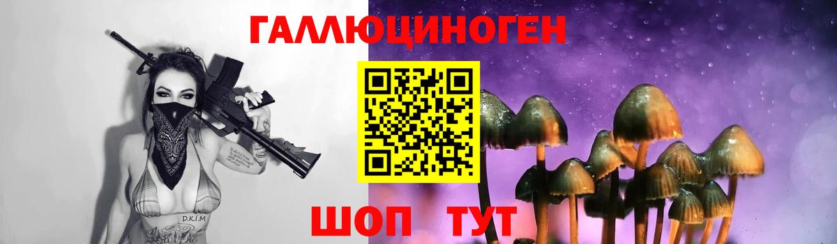 Галлюциногенные грибы MAGIC MUSHROOMS  Псилоцибиновые грибы GOLDEN TEACHER  магазин  наркотиков  Лысьва  Вход с VPN 